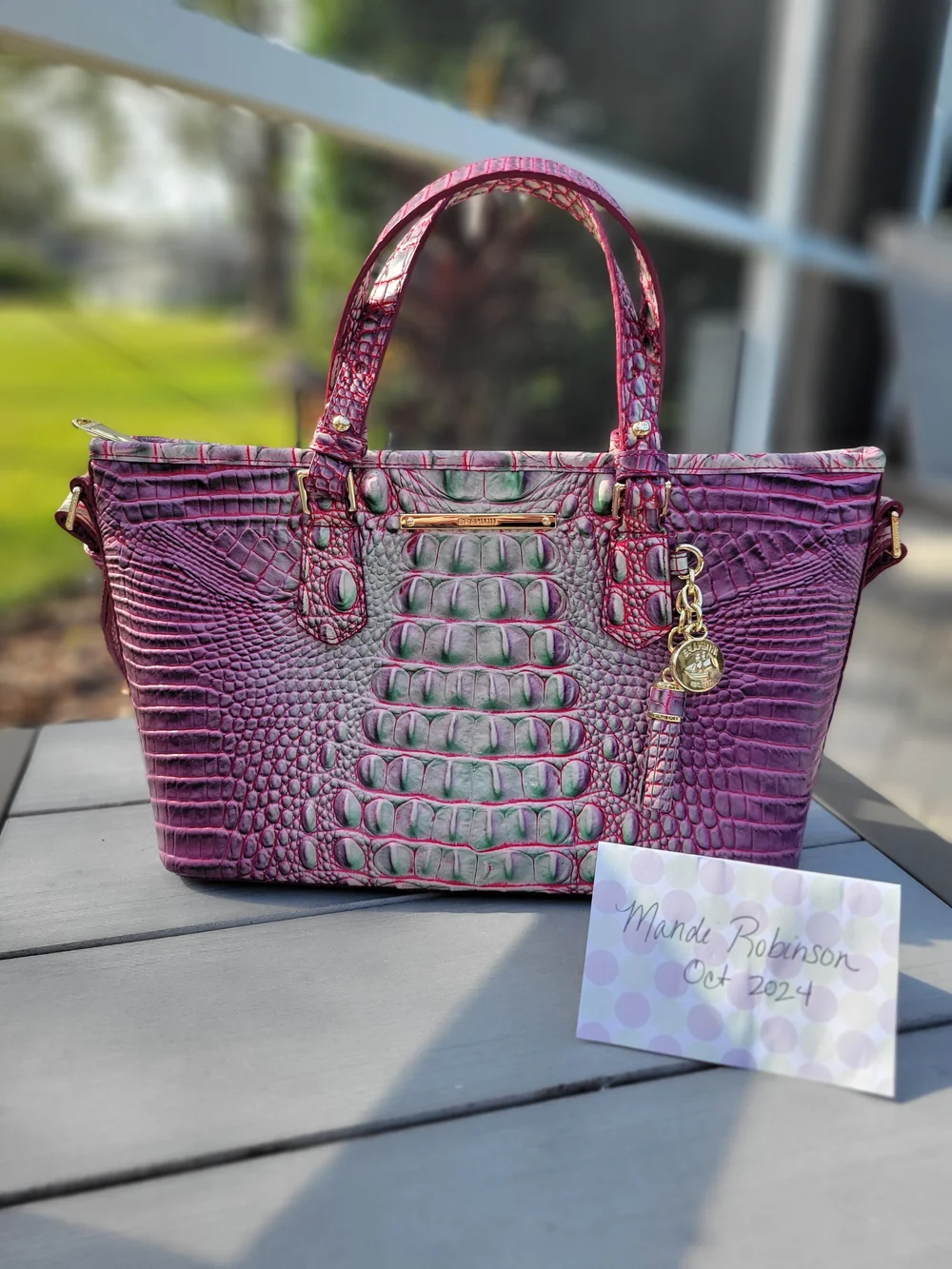 Brahmin Julep Mini-Asher EUC